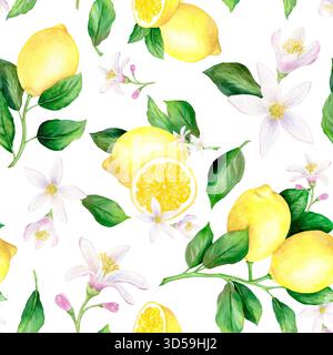 Un motivo senza cuciture con rami di limone, metà di limone giallo, fiori e foglie. Una succosa illustrazione di questo frutto tropicale. Disegnato a mano con waterco Foto Stock
