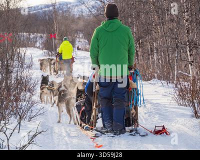 Slitta trainata da cani attraverso la foresta innevata del Parco Nazionale di Abisko, nel nord della Svezia. Circolo polare artico, Lapponia svedese, Europa settentrionale. Foto Stock