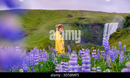 Un tranquillo paesaggio islandese mette in mostra una giovane donna con una giacca gialla luminosa che si erge tra i vivaci lupini viola. Cascata Skogafoss Foto Stock