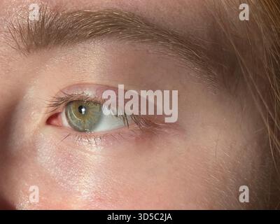 Primo piano macro dettagliato di un occhio umano che mostra ciglia naturali, consistenza delle sopracciglia e tonalità morbide della pelle alla luce del giorno a Hull, Inghilterra. Foto Stock