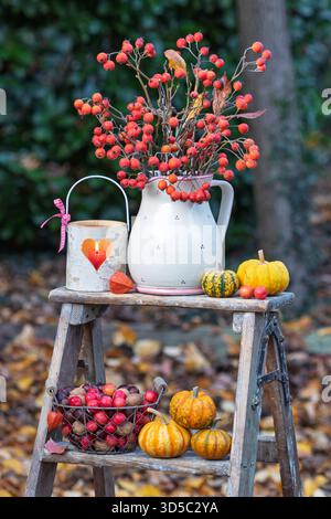bouquet di spina di mele, lanterna, zucche e cesto con mele di granchio, noci e castagne sulla scala nel giardino autunnale Foto Stock