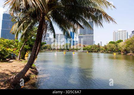 Tranquillo lago con palme e moderni grattacieli nel Parco Lumphinee di Bangkok. Foto Stock