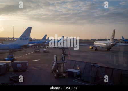 Il KLM e altri velivoli sull'asfalto all'alba, hanno visto il contraccolpo attraverso il vetro terminale, con una calda luce mattutina retroilluminata sul grembiule. Foto Stock