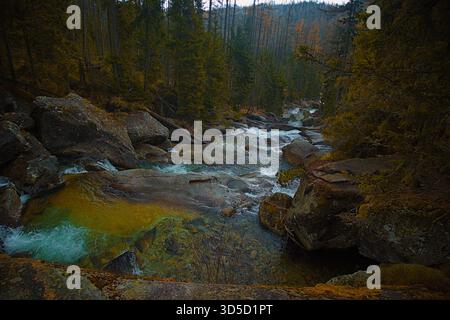 Paesaggio autunnale malinconico di un ruscello di montagna impetuoso che cade su grandi rocce bagnate in una foresta di conifere oscura Foto Stock