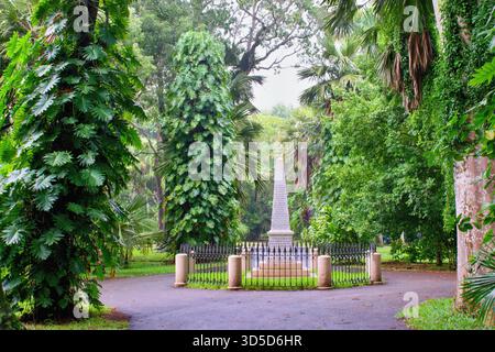 Pamplemousses, Mauritius - 28.2.2020 : Giardino Botanico Sir Seewoosagur Ramgoolam - giungla tropicale in un giorno di pioggia Foto Stock
