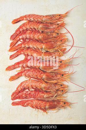 Langoustines, australiano, langoustine appena congelate, su sfondo chiaro, vista dall'alto Foto Stock