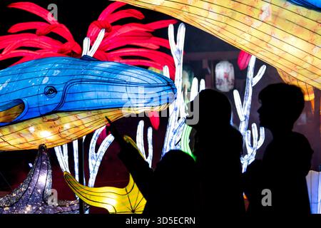 Sanford, Stati Uniti. 14 novembre 2025. I visitatori potranno visitare l'Asian Lantern Festival, che si tiene presso il Central Florida Zoo & Botanical Gardens di Sanford, Florida. L'evento presenta paesaggi ispirati all'oceano, creature mitiche e un drago illuminato da migliaia di luci di vacanza a LED, che celebrano la cultura, l'arte e la bellezza delle tradizionali feste delle lanterne amate in tutta l'Asia per secoli. (Foto di Ronen Tivony/NurPhoto) credito: NurPhoto SRL/Alamy Live News Foto Stock