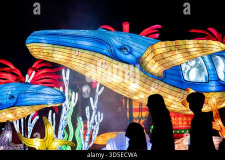 Sanford, Stati Uniti. 14 novembre 2025. I visitatori potranno visitare l'Asian Lantern Festival, che si tiene presso il Central Florida Zoo & Botanical Gardens di Sanford, Florida. L'evento presenta paesaggi ispirati all'oceano, creature mitiche e un drago illuminato da migliaia di luci di vacanza a LED, che celebrano la cultura, l'arte e la bellezza delle tradizionali feste delle lanterne amate in tutta l'Asia per secoli. (Foto di Ronen Tivony/NurPhoto) credito: NurPhoto SRL/Alamy Live News Foto Stock