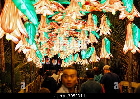 Sanford, Stati Uniti. 14 novembre 2025. I visitatori potranno visitare l'Asian Lantern Festival, che si tiene presso il Central Florida Zoo & Botanical Gardens di Sanford, Florida. L'evento presenta paesaggi ispirati all'oceano, creature mitiche e un drago illuminato da migliaia di luci di vacanza a LED, che celebrano la cultura, l'arte e la bellezza delle tradizionali feste delle lanterne amate in tutta l'Asia per secoli. (Foto di Ronen Tivony/NurPhoto) credito: NurPhoto SRL/Alamy Live News Foto Stock