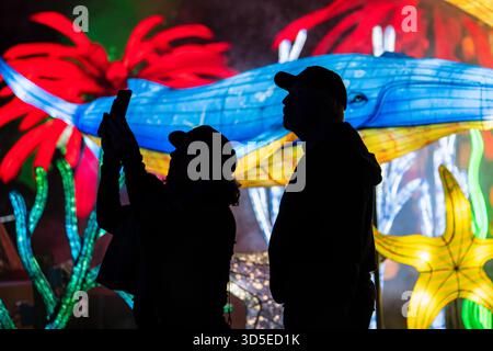 Sanford, Stati Uniti. 14 novembre 2025. I visitatori potranno visitare l'Asian Lantern Festival, che si tiene presso il Central Florida Zoo & Botanical Gardens di Sanford, Florida. L'evento presenta paesaggi ispirati all'oceano, creature mitiche e un drago illuminato da migliaia di luci di vacanza a LED, che celebrano la cultura, l'arte e la bellezza delle tradizionali feste delle lanterne amate in tutta l'Asia per secoli. (Foto di Ronen Tivony/NurPhoto) credito: NurPhoto SRL/Alamy Live News Foto Stock