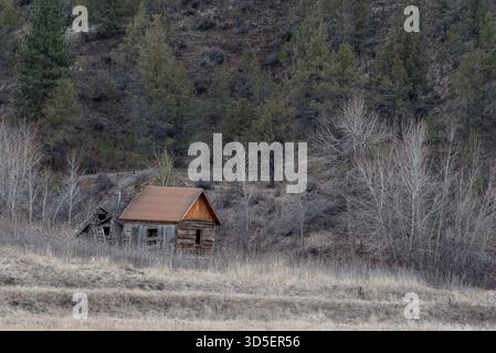 Vecchi edifici, Grant County, Oregon. Foto Stock