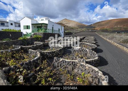 Tipica casa bianca tra paesaggio vulcanico, viticoltura tradizionale a Lapilli, Lanzarote, Isole Canarie, Spagna Foto Stock