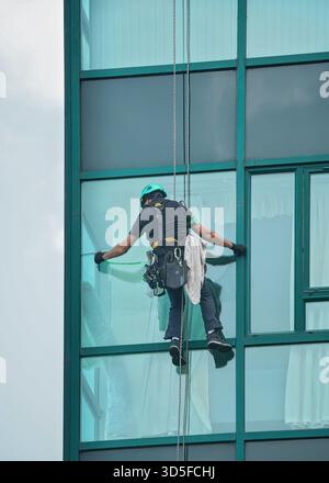 Detergente industriale per finestre - uomo appeso ai tetti con attrezzatura di sicurezza, pulizia della facciata di un alto edificio in vetro moderno Foto Stock