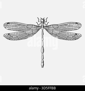 Line art, libellula isolata, illustrazione in bianco e nero, illustrazione della schiusa degli animali Illustrazione Vettoriale