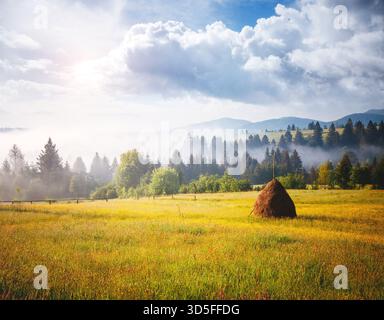 Grandi altopiani alpini in giornata di sole. Ubicazione Carpazi, Ucraina, Europa. Immagine di un'area rustica. Immagine panoramica del concetto di escursionismo. Attrarre Foto Stock