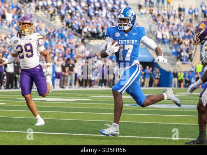 Lexington, Kentucky, Stati Uniti. 15 novembre 2025. Hardley Gilmore IV (17) del Kentucky sta per segnare un touchdown durante la partita di football NCAA tra i Kentucky Wildcats e i Tennessee Tech Golden Eagles al Kroger Field di Lexington, Kentucky. Kyle Okita/CSM/Alamy Live News Foto Stock