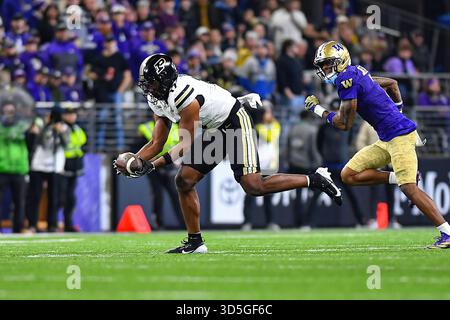 Seattle Washington, Stati Uniti. 15 novembre 2025. Il tight end dei Purdue Boilermakers Rico Walker (17) fa una ricezione nel primo tempo durante la partita di football NCAA tra i Purdue Boilermakers e i Washington Huskies a Seattle. Steve Faber/CSM/Alamy Live News Foto Stock