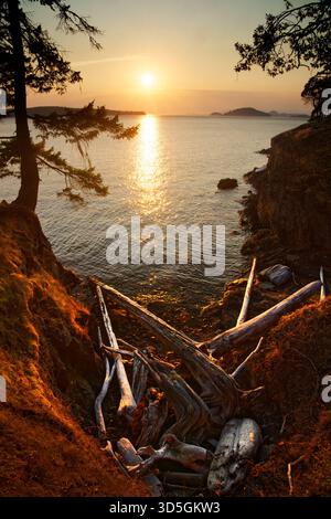 Tramonto sul canale di San Juan e una baia costiera di driftwood su Jones Island, Jones Island State Park, San Juan Islands, San Juan County, Washington Foto Stock