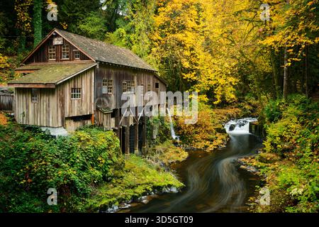 Cedar Creek Grist Mill in autunno, Woodland, Washington, Stati Uniti Foto Stock