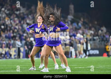 Seattle Washington, Stati Uniti. 15 novembre 2025. La squadra di ballo Husky si esibisce durante una pausa nella partita di football NCAA tra i Purdue Boilermakers e i Washington Huskies a Seattle WA. Washington sconfisse Purdue 49-13. Steve Faber/CSM/Alamy Live News Foto Stock