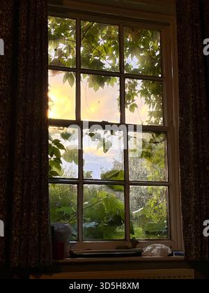 Lush green garden seen through a wooden window frame. Natural light and leafy textures create a peaceful countryside atmosphere in Hull, England. Foto Stock