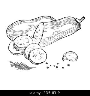 Melanzane, intere e affettate, schizzi. Illustrazione vettoriale. Verdure, erbe e spezie culinarie, rosmarino e aglio sono isolati su sfondo bianco Illustrazione Vettoriale
