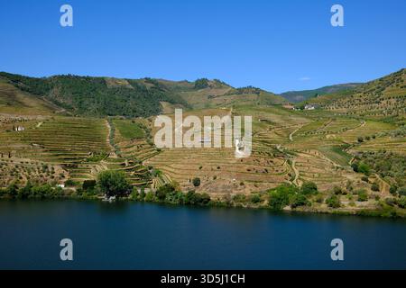 Vista delle colline e dei vigneti nella valle del Douro, Portogallo Foto Stock