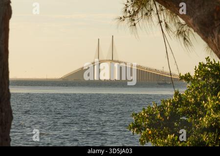 La città di Tampa Bay si dispiega dall'acqua, offrendo una prospettiva raffinata del suo skyline moderno e del vivace lungomare. Visto da una barca, il cit Foto Stock