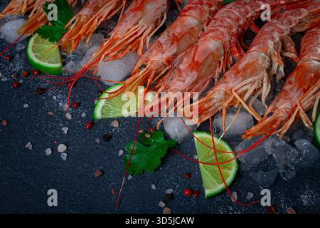 Langoustines, australiano, fresco congelato sul ghiaccio, vista dall'alto, lime e verdi, Foto Stock