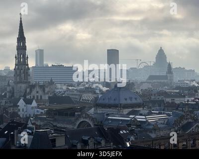 Belgio, Bruxelles, 31 dicembre 2024; paesaggio urbano di Bruxelles con monumenti storici ed edifici moderni sotto un cielo nuvoloso Foto Stock