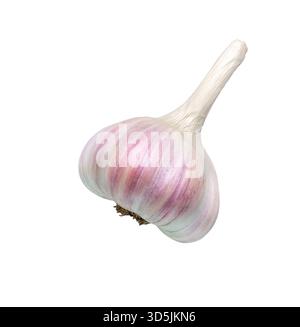 Aglio isolato su sfondo bianco. Bulbo d'aglio, primo piano Foto Stock