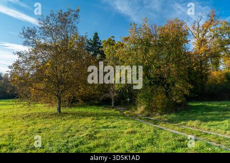 Cadono nel sud-ovest della Germania Foto Stock