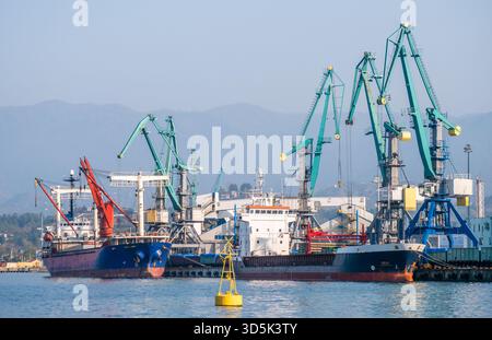 Navi da carico attraccate in un trafficato porto industriale con grandi gru. Foto Stock