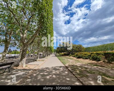Sentiero alberato con panchine sotto il cielo blu Foto Stock