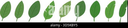 Set di foglie tropicali. Collezione di foglie botaniche in tonalità verdi Illustrazione Vettoriale