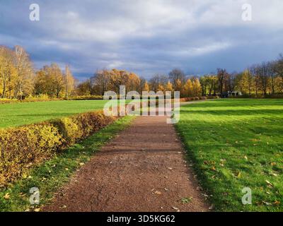 Sentiero autunnale con siepi e prato verde sotto nuvole tempestose Foto Stock