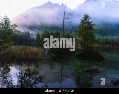Vista soffusa di un lago di montagna nebbioso con alberi rocciosi dell'isola e nebbia che attraversa la foresta. Foto Stock