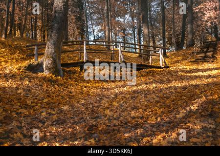 Un piccolo ponte di legno si estende su una gola, circondato da un tappeto di foglie d'autunno dorate in un parco. Simboleggia viaggio, solitudine, fuga e natura Foto Stock