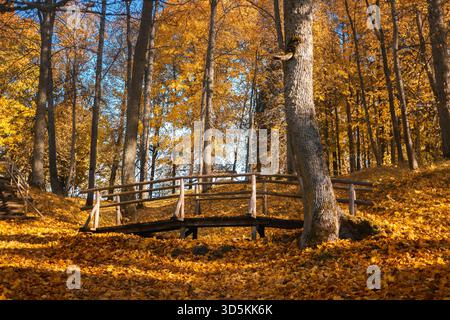 Un piccolo ponte di legno si estende su una gola, circondato da un tappeto di foglie d'autunno dorate in un parco. Simboleggia viaggio, solitudine, fuga e natura Foto Stock