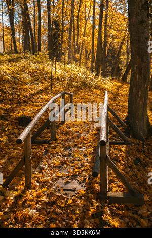 Un piccolo ponte di legno si estende su una gola, circondato da un tappeto di foglie d'autunno dorate in un parco. Simboleggia viaggio, solitudine, fuga e natura Foto Stock