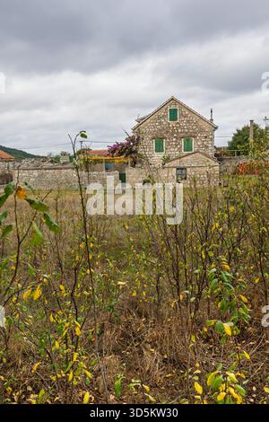 Una casa rustica in pietra si trova in un tranquillo paesaggio rurale, circondato da erba secca e piante sovrastate. Persiane verdi, pareti di pietra e una fioritura rosa Foto Stock