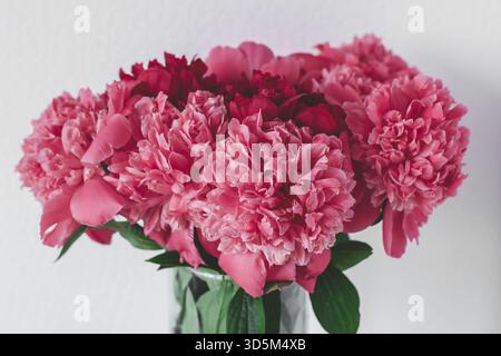 Bouquet di peonie rosa e rosse in fiore in vaso di vetro su sfondo bianco, concetto di celebrazione, bellezza floreale e atmosfera romantica Foto Stock