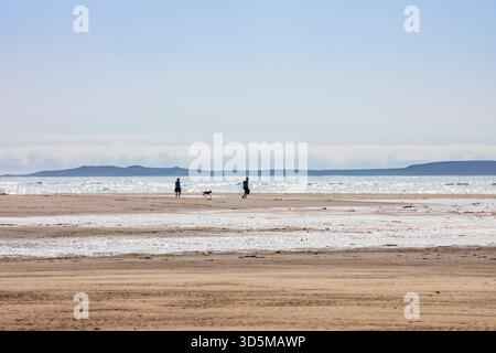due persone e un cane sulla spiaggia remota Foto Stock