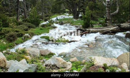 Un fiume di acque limpide a zigzag tra gli alberi della foresta e le rocce all'interno di un ambiente selvaggio Foto Stock