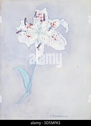 Lily, 1920-25 di Piet Mondrian Illustrazione Vettoriale