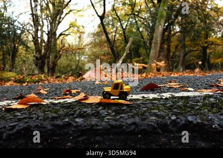 Carrello elevatore giocattolo giallo nella New Forest, Hampshire, Regno Unito Foto Stock