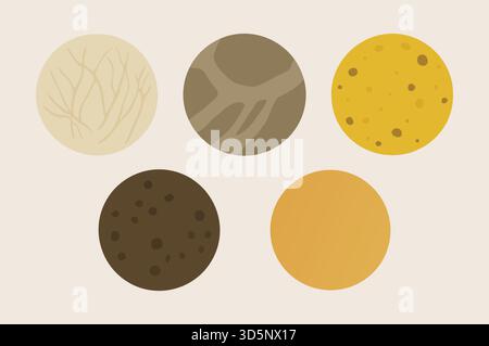 Una scheda rettangolare che mostra cinque campioni di colore rotondo in calde tonalità di terra con sottili texture a foglia e sabbia Illustrazione Vettoriale