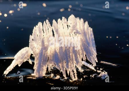 Cristalli di ghiaccio congelati in controluce su un lago ghiacciato Foto Stock