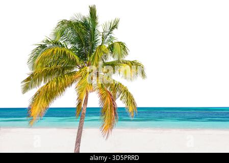 Palme su una spiaggia caraibica, paesaggio tropicale isolato su sfondo bianco, ritagliato Foto Stock