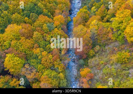 Vista aerea dall'alto verso il basso della foresta autunnale e di un torrente roccioso che si snoda attraverso il Parco Nazionale della Valle di Valbona, nel nord dell'Albania. Foto Stock